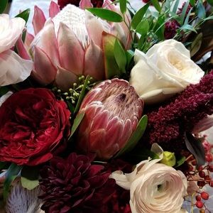 Meet your Posher, Colleen